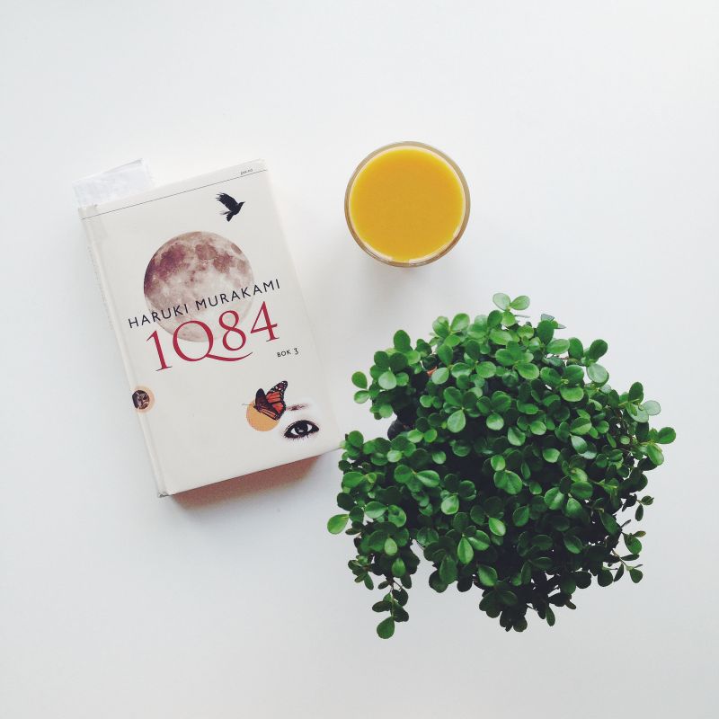 Review truyện 1Q84
